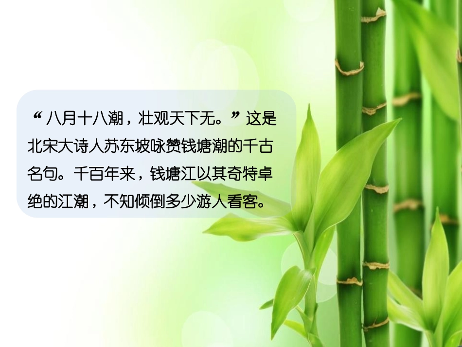 《观潮》PPT课件[鄂教版四年级语文上册]_第2页