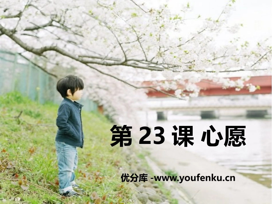 《心愿》PPT课件[鄂教版五年级语文上册]_第1页