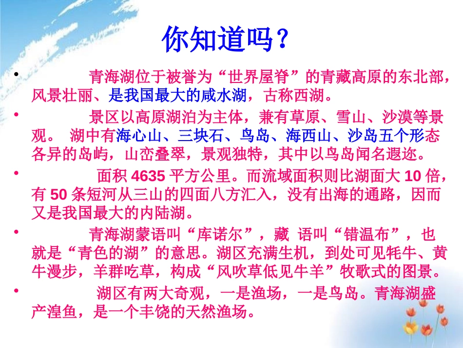 《青海湖,梦幻般的湖》PPT课件[鄂教版五年级语文下册]_第3页