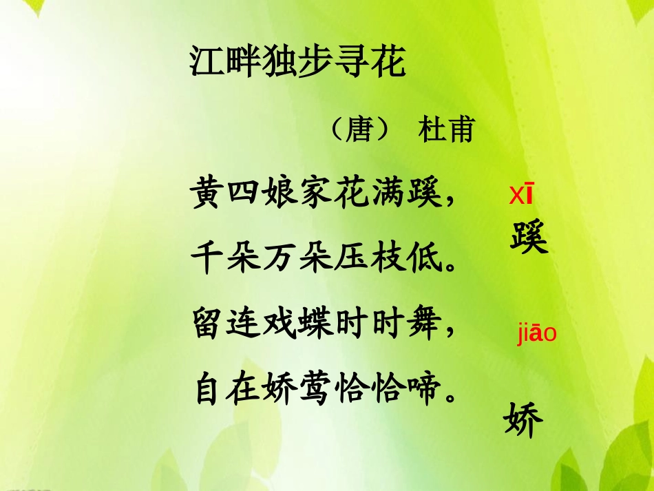 《江畔独步寻花》PPT课件[鄂教版五年级语文下册]_第3页
