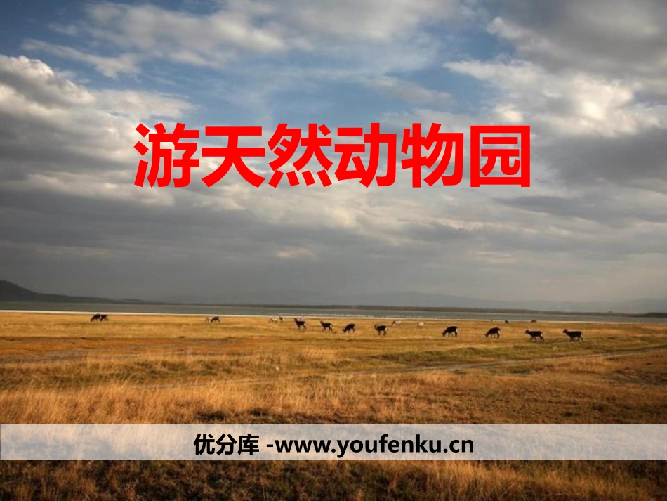 《游天然动物园》PPT课件[鄂教版五年级语文下册]_第1页