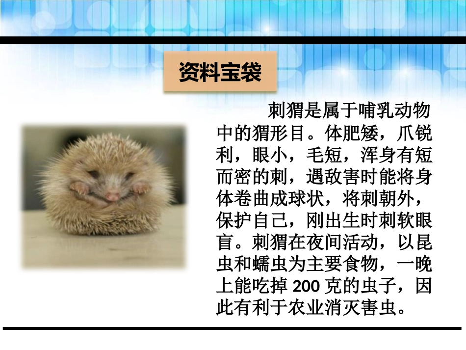 《刺猬》PPT课件[鄂教版五年级语文下册]_第3页
