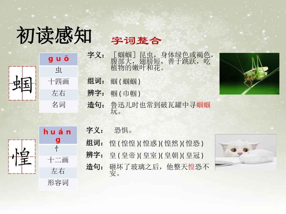 《囚蚁》PPT课件[鄂教版六年级语文上册]_第3页