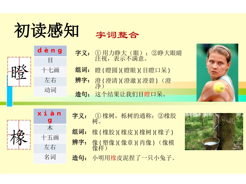 《想象》PPT课件[鄂教版六年级语文上册]_第3页