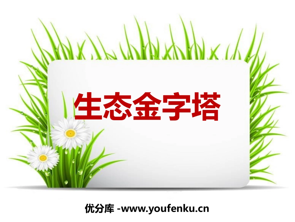 《生态金字塔》PPT课件[鄂教版六年级语文上册]_第1页