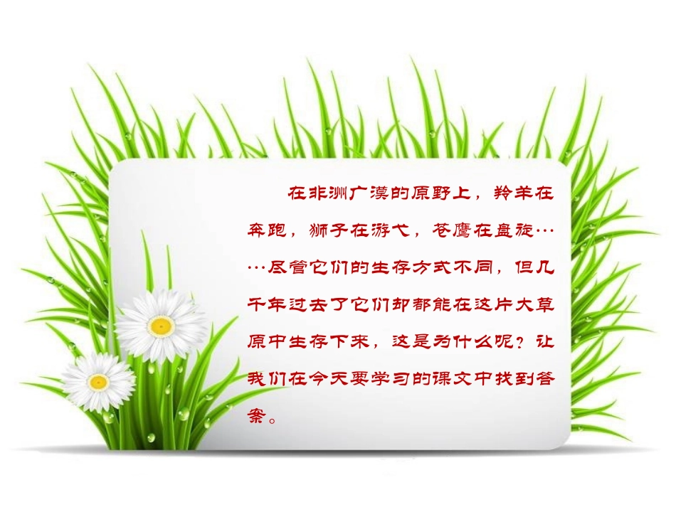 《生态金字塔》PPT课件[鄂教版六年级语文上册]_第2页