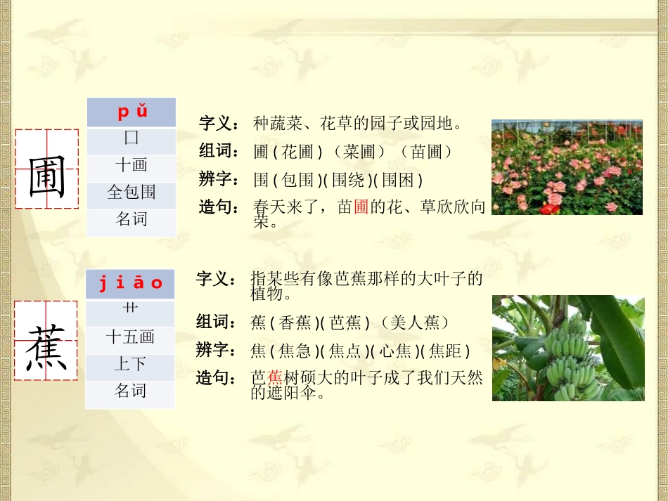 《种一片太阳花》PPT课件[鄂教版六年级语文上册]_第2页