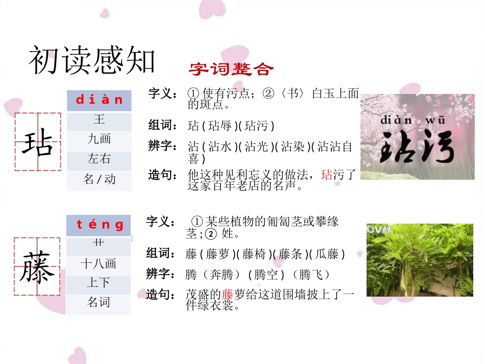 《梅花魂》PPT课件[鄂教版六年级语文上册]_第2页