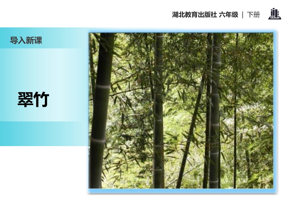 《井冈翠竹》PPT课件[鄂教版六年级语文下册]_第2页