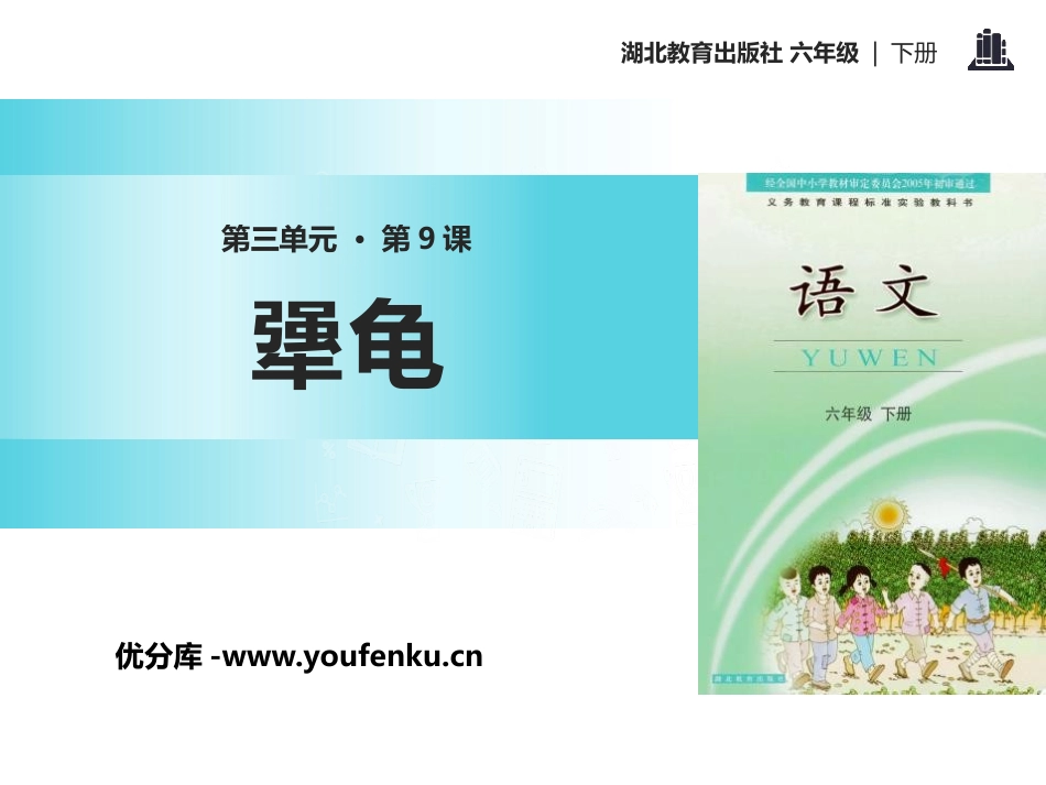 《犟龟》PPT课件[鄂教版六年级语文下册]_第1页