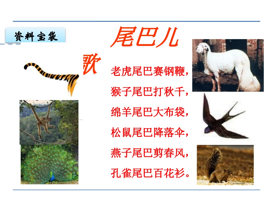 《如果人类也有尾巴》PPT课件[鄂教版六年级语文下册]_第2页