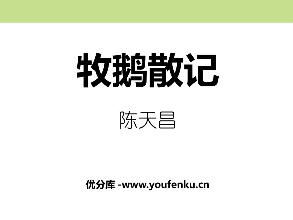 《牧鹅散记》PPT课件[鄂教版七年级语文上册]_第1页