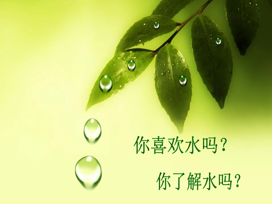 《“世界水日”主题班会》PPT课件[节日主题班会PPT]_第2页