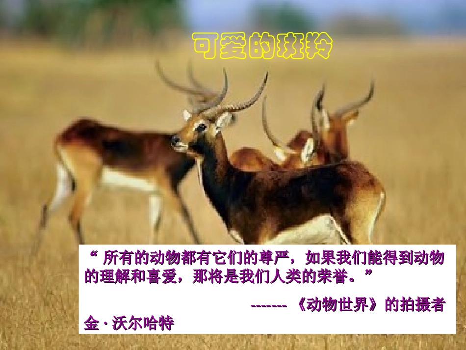 《斑羚飞渡》PPT课件[部编版七年级语文下册]_第2页