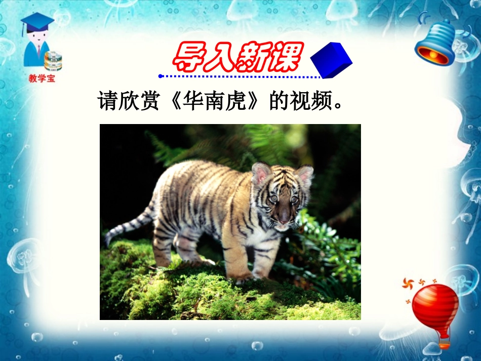 《华南虎》PPT课件[部编版七年级语文下册]_第2页