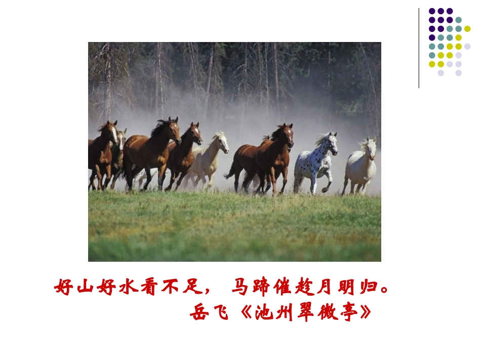 《马》PPT课件[部编版七年级语文下册]_第2页
