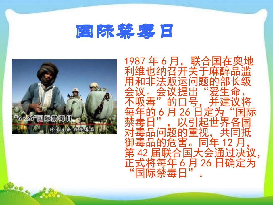 《珍爱生命 远离毒品》PPT课件[节日主题班会PPT]_第3页
