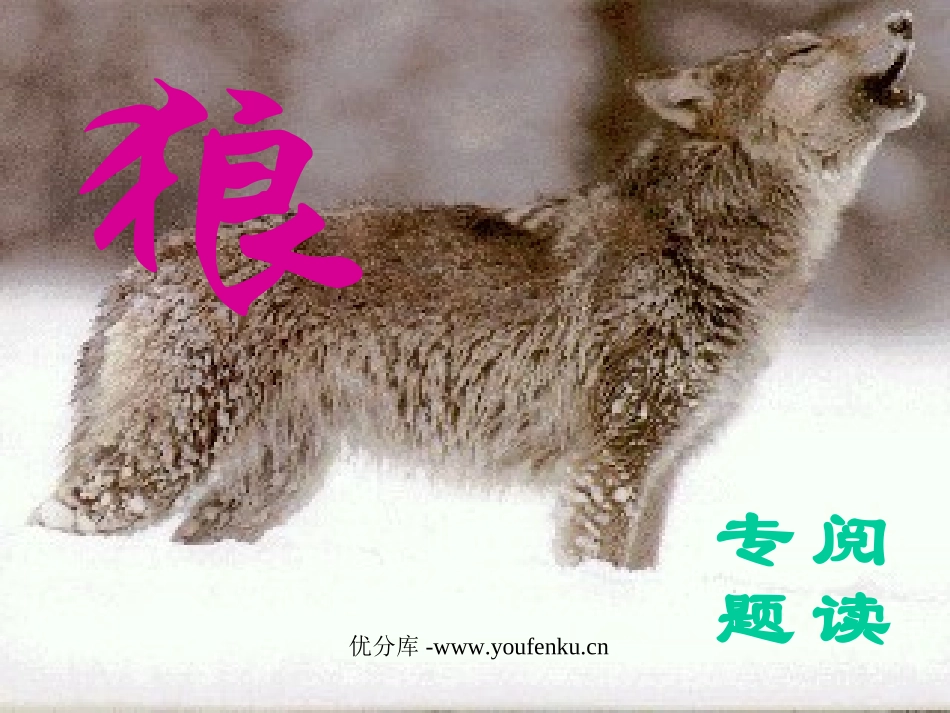 《狼》PPT课件[部编版七年级语文下册]_第1页