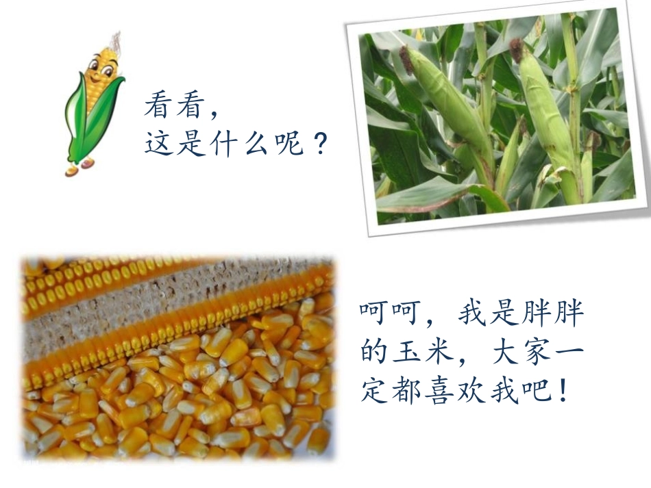 《光盘行动》PPT课件[节日主题班会PPT]_第3页