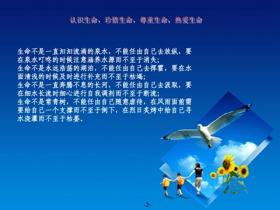 《交通安全教育主题班会》PPT课件[安全主题班会PPT]_第2页