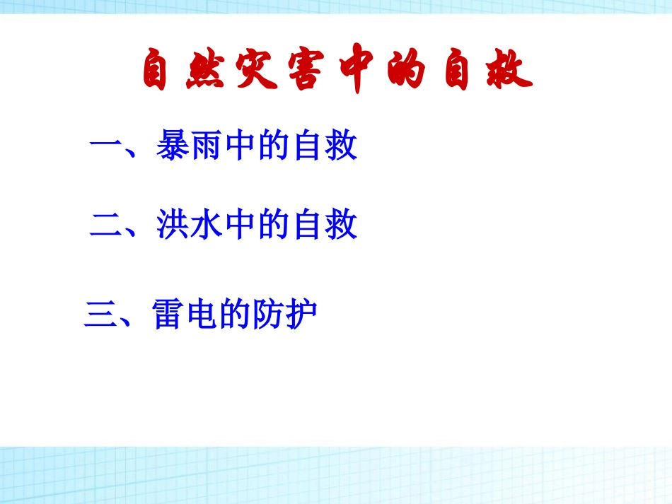 《防雷电、暴雨、洪灾》PPT课件[安全主题班会PPT]_第3页