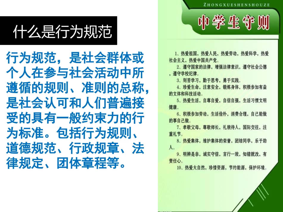 《将美丽带进校园》PPT课件[校规主题班会PPT]_第3页
