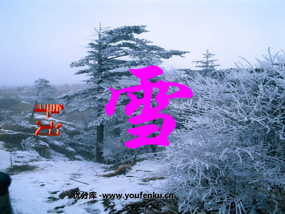 《雪》PPT课件[部编版八年级语文下册]_第1页