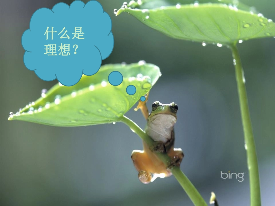 《放飞理想》PPT课件[励志主题班会PPT]_第2页