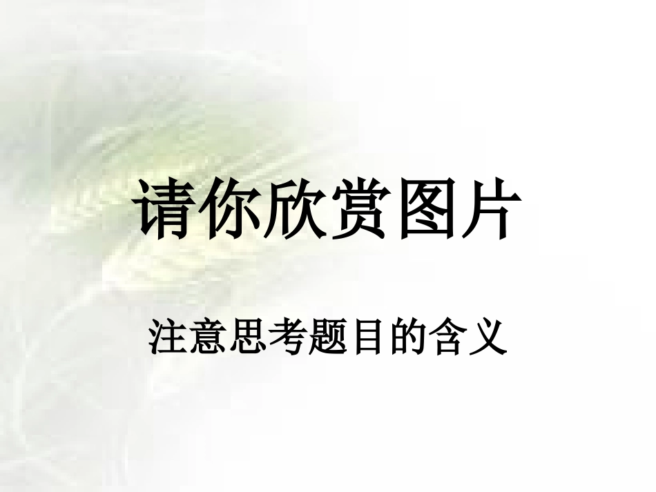 《敬畏自然》PPT课件[部编版八年级语文下册]_第3页