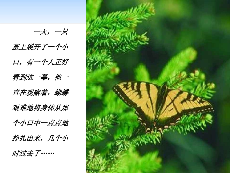 《提升自我》PPT课件[励志主题班会PPT]_第3页
