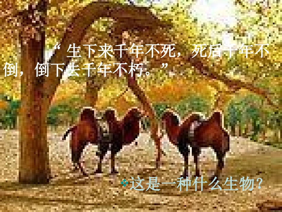 《罗布泊,消逝的仙湖》PPT课件[部编版八年级语文下册]_第2页