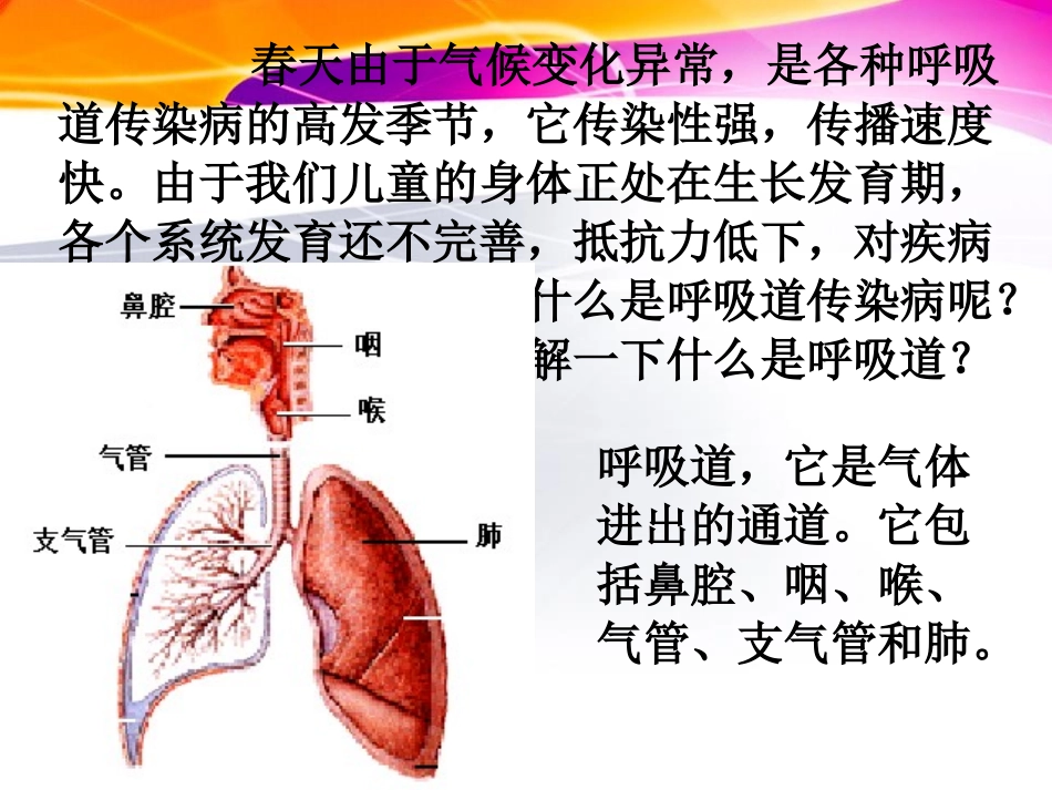 《春季传染病预防》PPT课件[健康主题班会PPT]_第2页