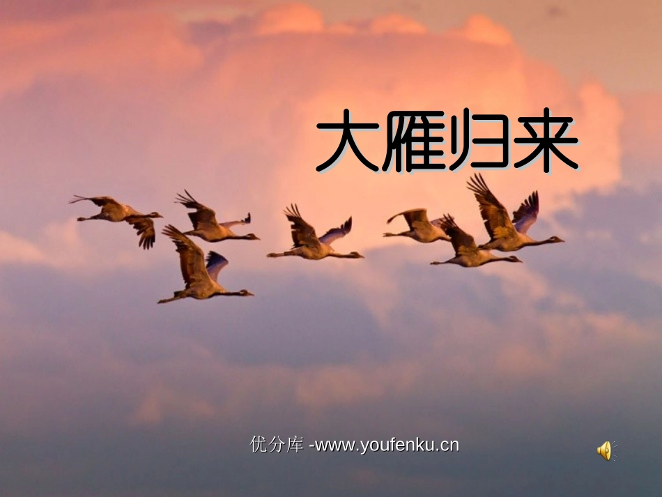 《大雁归来》PPT课件[部编版八年级语文下册]_第1页
