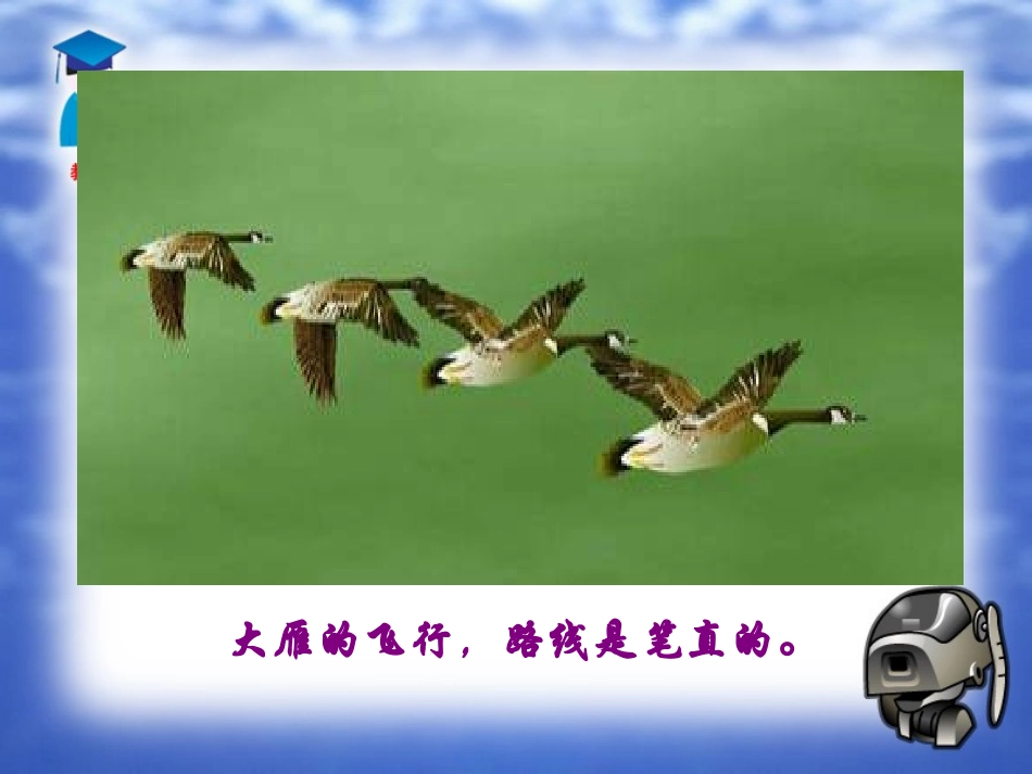 《大雁归来》PPT课件[部编版八年级语文下册]_第2页