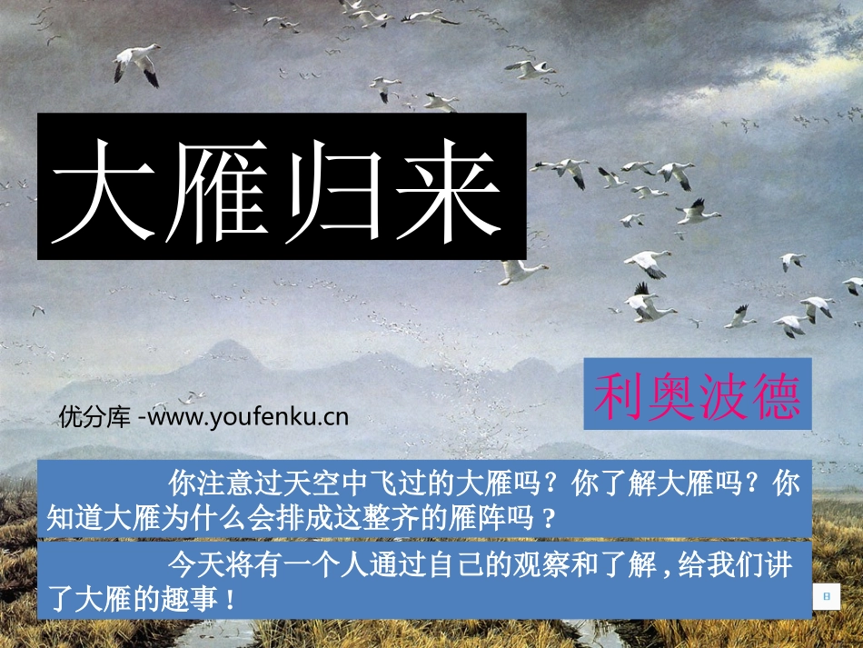 《大雁归来》PPT课件[部编版八年级语文下册]_第1页