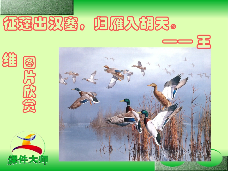 《大雁归来》PPT课件[部编版八年级语文下册]_第3页