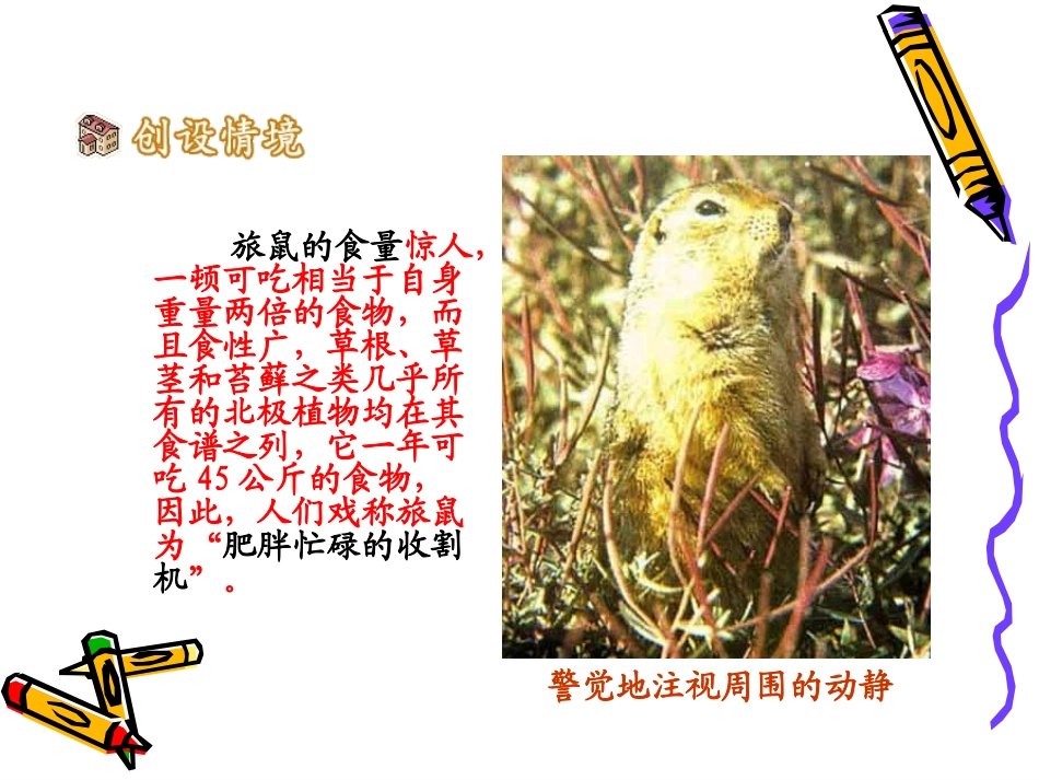 《旅鼠之谜》PPT课件[部编版八年级语文下册]_第3页