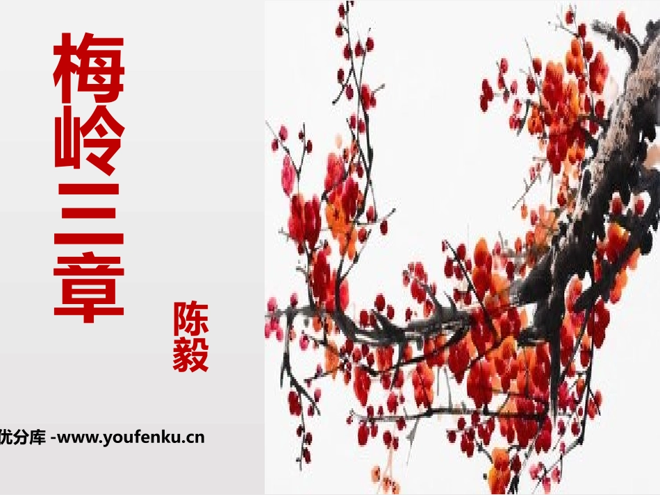 《梅岭三章》PPT课件[部编版九年级语文下册]_第1页