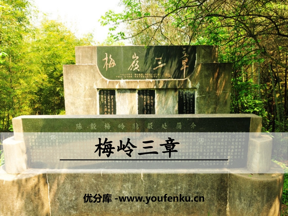 《梅岭三章》PPT课件[部编版九年级语文下册]_第1页