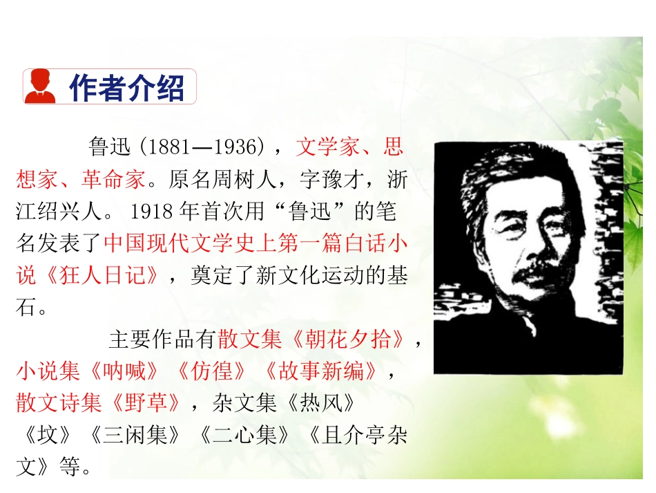《孔乙己》PPT课件[部编版九年级语文下册]_第2页