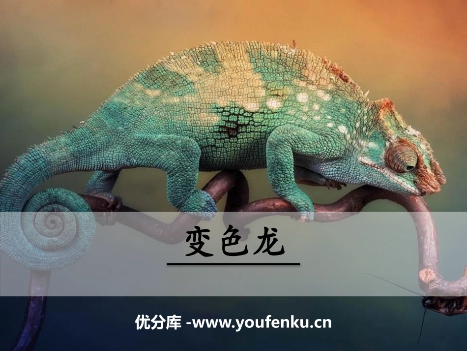 《变色龙》PPT免费课件[部编版九年级语文下册]_第1页
