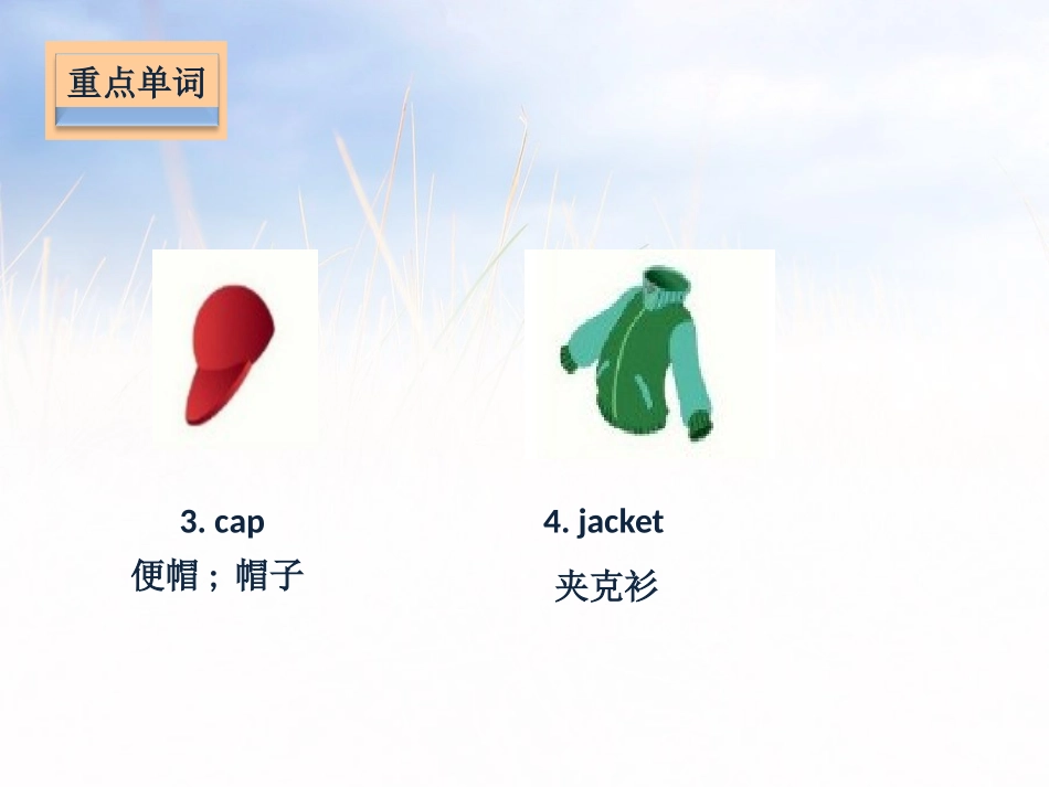 《Look at me!》基础知识PPT课件_第3页