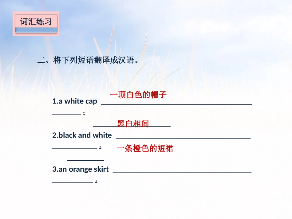 《Colours》课堂练习PPT课件[牛津译林版英语三年级]_第3页