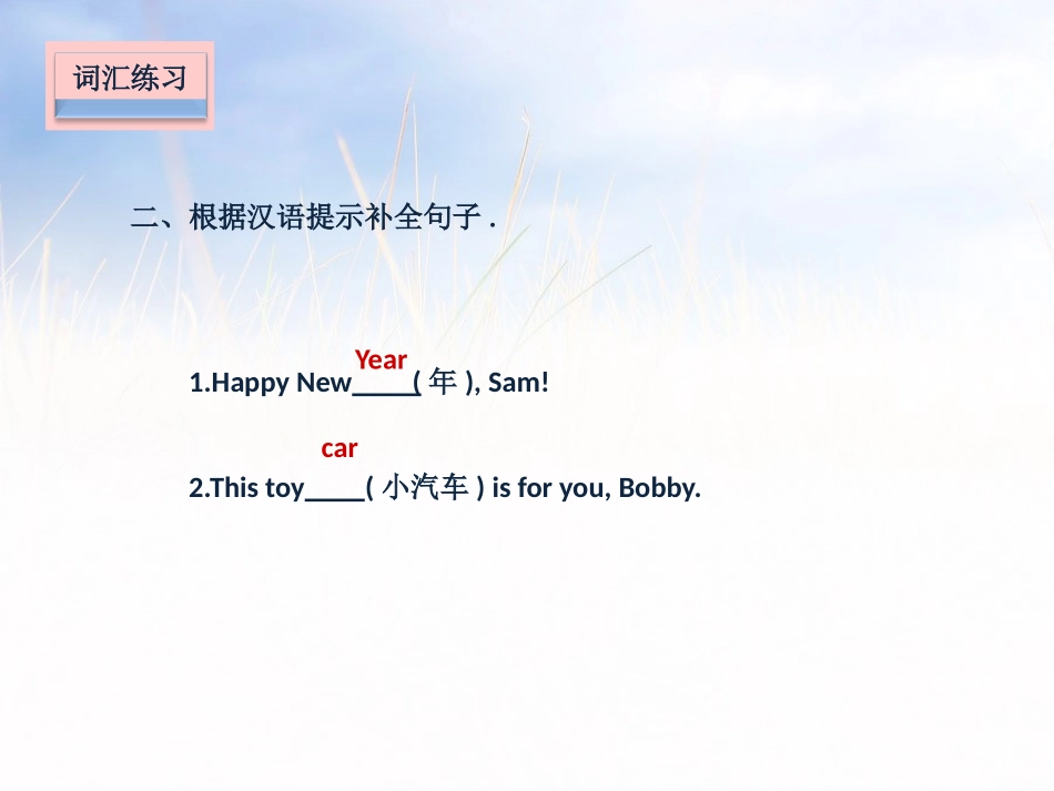 《Happy New Year!》课堂练习PPT课件_第3页