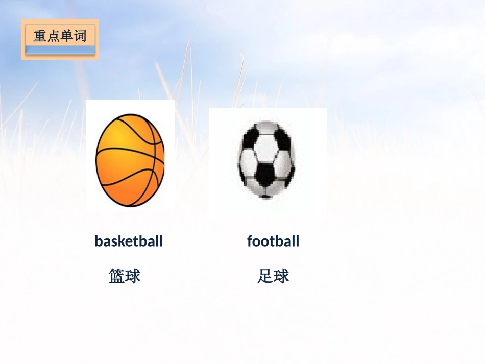 《I can play basketball》基础知识PPT课件_第2页