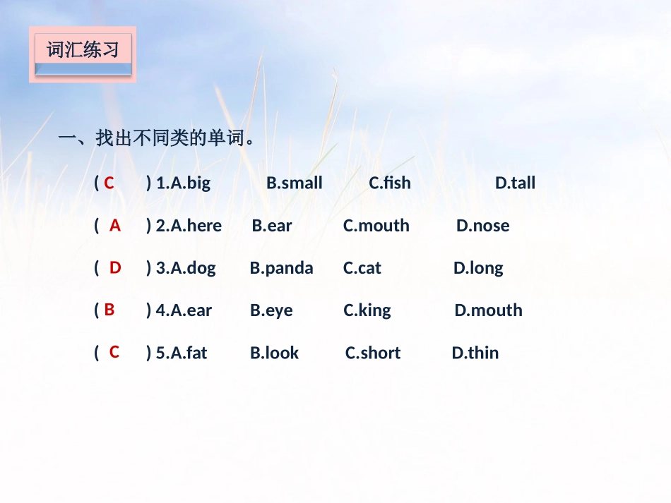 《Dolls》课堂练习PPT课件[牛津译林版英语四年级上册]_第2页