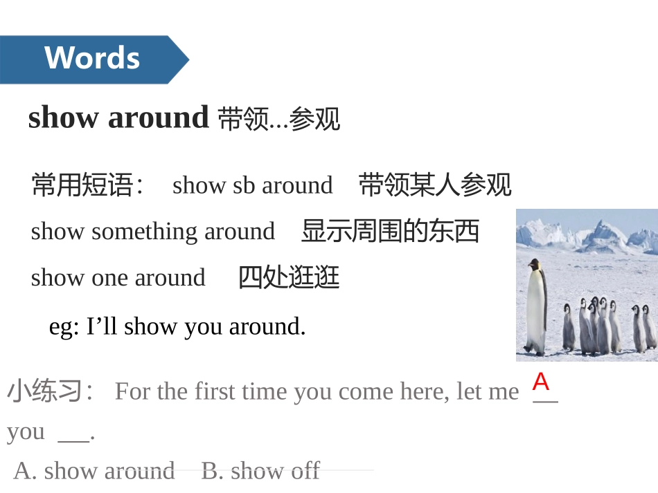 《A new student》PPT(第一课时)PPT课件_第2页