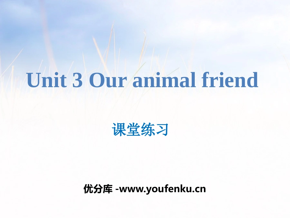 《Our animal friends》课堂练习PPT课件_第1页