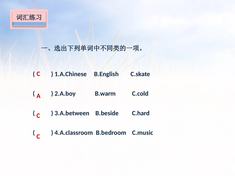 《My e-friend》课堂练习PPT课件_第2页