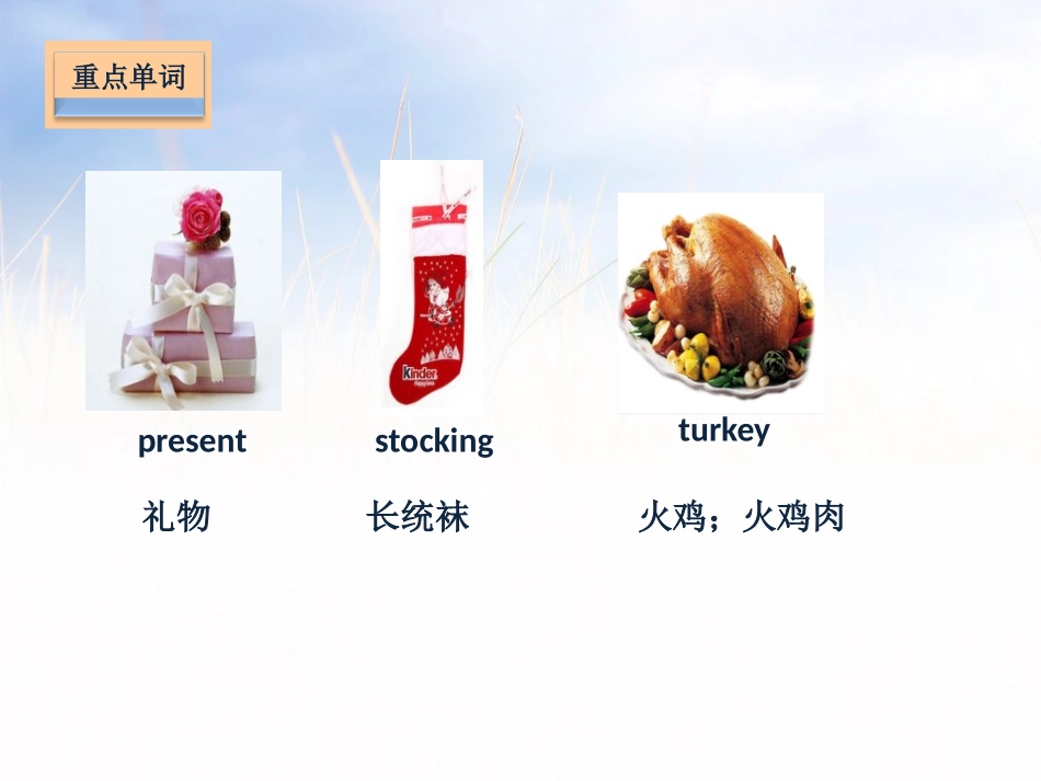 《At Christmas》基础知识PPT课件_第3页